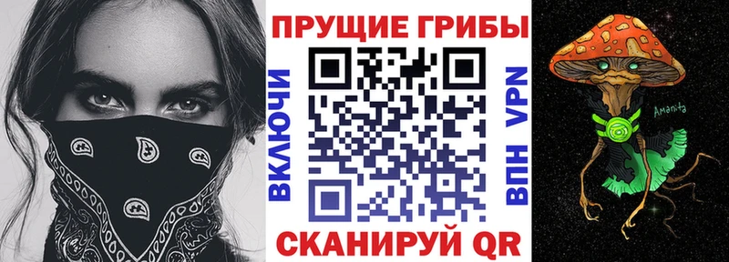kraken вход  Йошкар-Ола  Псилоцибиновые грибы MAGIC MUSHROOMS 